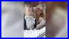 Jessica-Simpson-Teams-With-Pottery-Barn-Kids-For-Birdie-S-Room-Jessica-Simpson-Today-Viral-News-01-fc