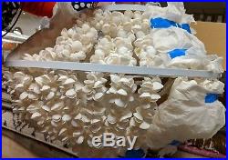 Newithperfect Pottery Barn Kids Sammy ivory shell pendant chandelier beach