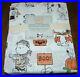 Pottery-Barn-Kids-Snoopy-Friends-Halloween-Peanuts-Cotton-Queen-Sheet-Set-NEW-01-qgv