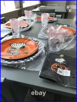 Pottery Barn Kids Snoopy Peanuts Halloween Plates, Chargers, Cups, Napkins Nwt