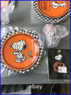 Pottery Barn Kids Snoopy Peanuts Halloween Plates, Chargers, Cups, Napkins Nwt