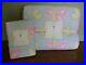 Pottery-Barn-Kids-Zoey-Butterfly-Twin-QUILT-SHAM-NWT-TWO-PIECE-SET-01-is