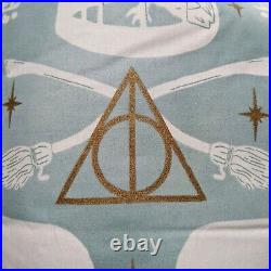 Pottery Barn Teen Harry Potter Magical Damask Comforter Queen Mystic Mint Gift