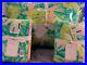 Pottery-Barn-Teen-Lilly-Pulitzer-Local-Flavor-Comforter-Full-Queen-2-Euro-Shams-01-drll