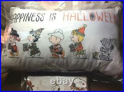 Pottery Barn kid PILLOW 12x20 + SHEET SET Twin Snoopy Peanuts HOLIDAY halloween